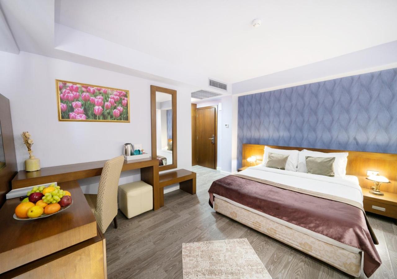 Phoenicia Comfort
